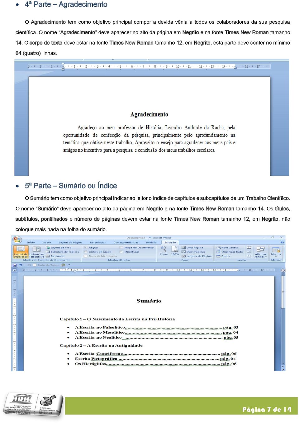 O corpo do texto deve estar na fonte Times New Roman tamanho 12, em Negrito, esta parte deve conter no mínimo 04 (quatro) linhas.