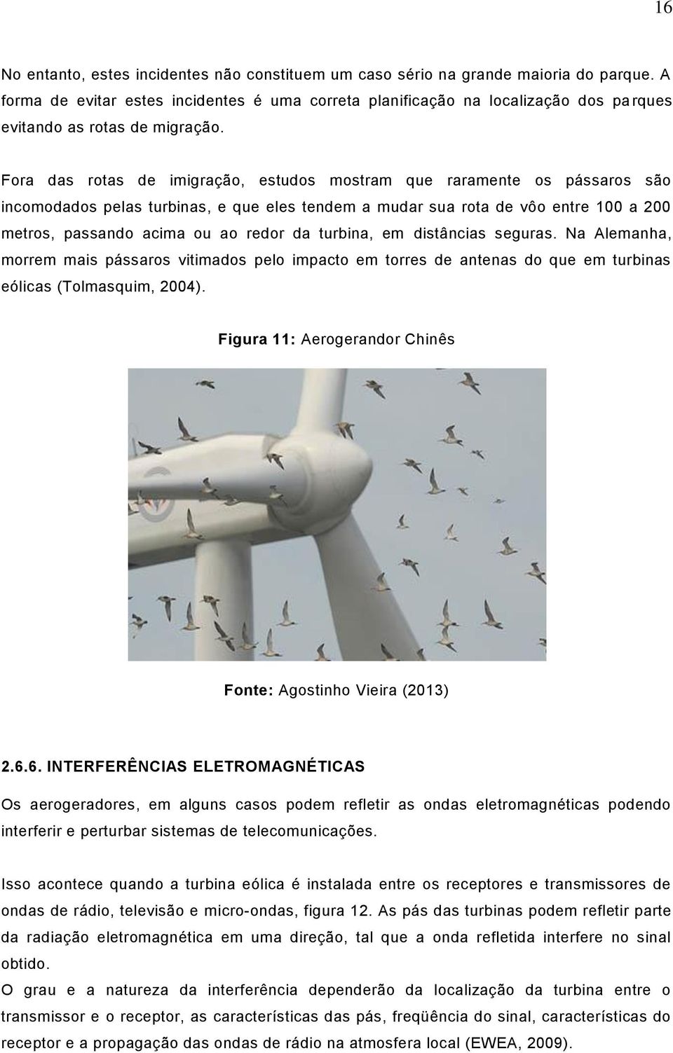 Fora das rotas de imigração, estudos mostram que raramente os pássaros são incomodados pelas turbinas, e que eles tendem a mudar sua rota de vôo entre 100 a 200 metros, passando acima ou ao redor da