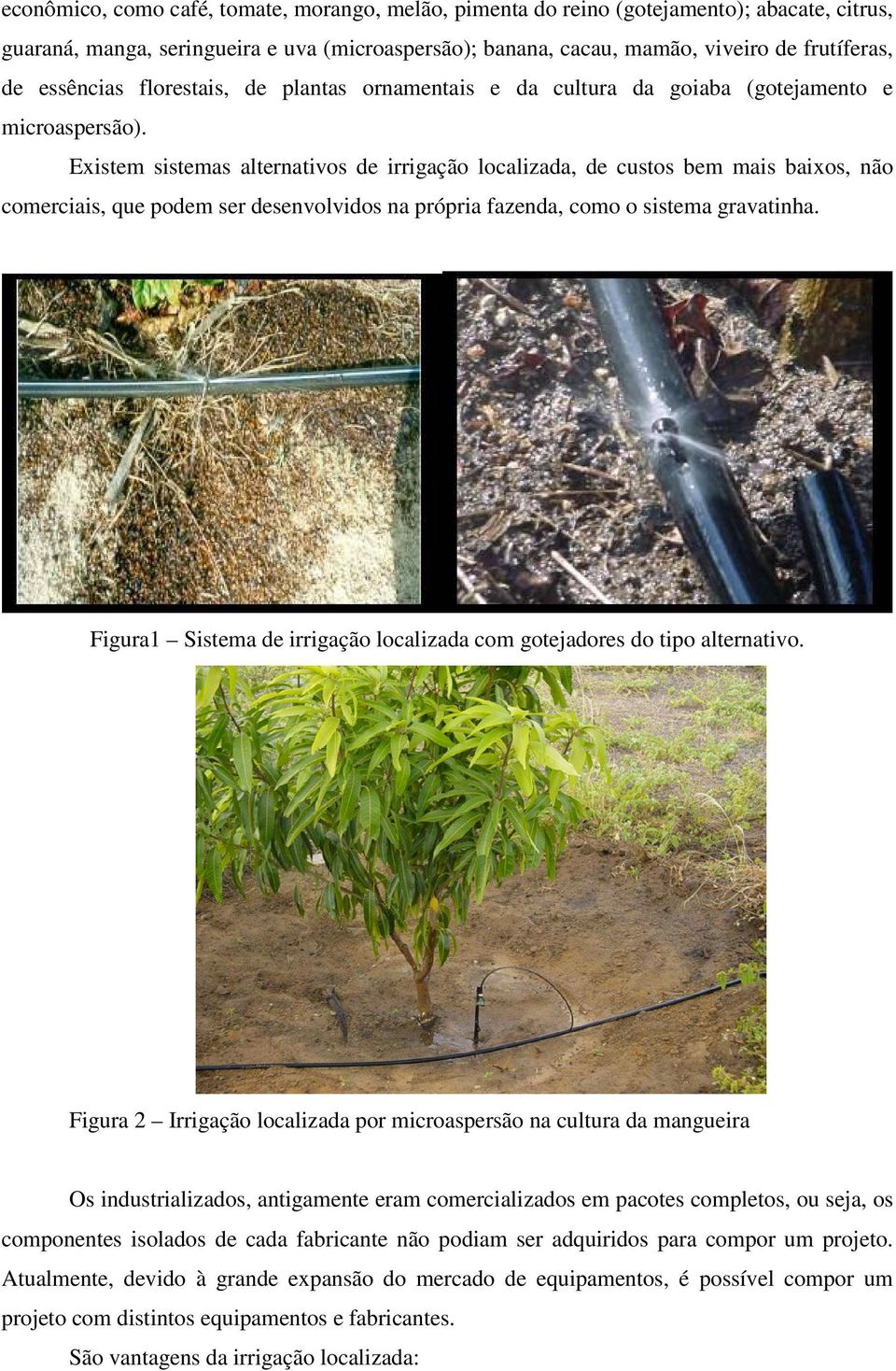 Existem sistemas alternativos de irrigação localizada, de custos bem mais baixos, não comerciais, que podem ser desenvolvidos na própria fazenda, como o sistema gravatinha.