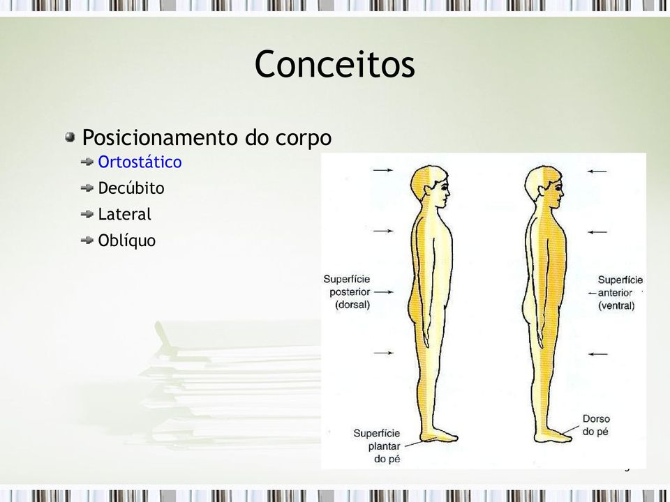 corpo Ortostático