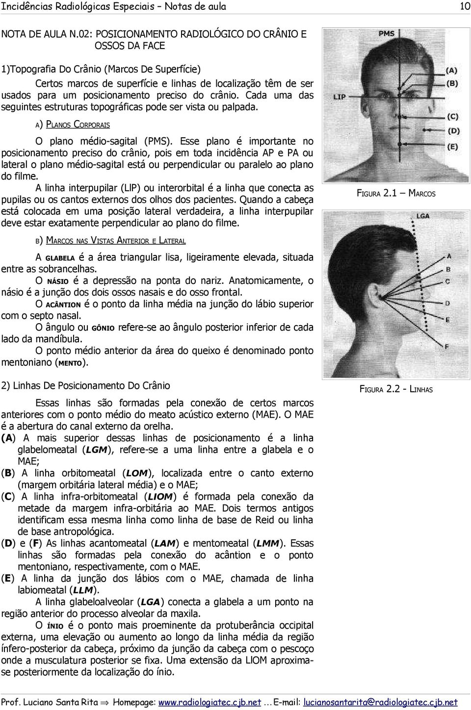 preciso do crânio. Cada uma das seguintes estruturas topográficas pode ser vista ou palpada. A) PLANOS CORPORAIS O plano médio-sagital (PMS).