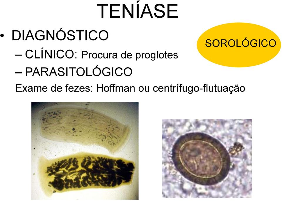 PARASITOLÓGICO SOROLÓGICO