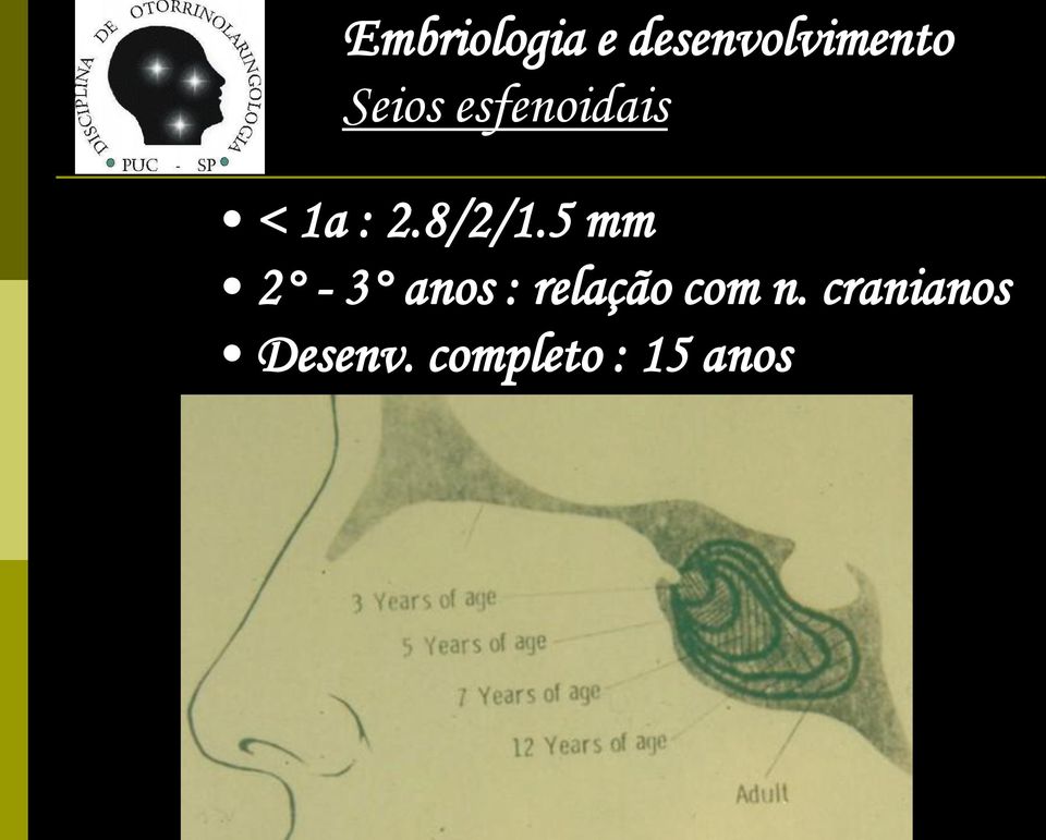 5 mm 2-3 anos : relação com n.