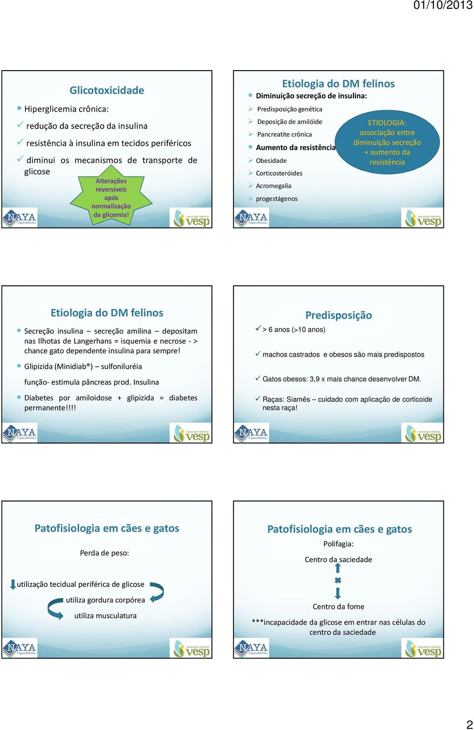 Etiologia do DM felinos Diminuição secreção de insulina: Predisposição genética Deposição de amilóide ETIOLOGIA: Pancreatite crônica associação entre diminuição secreção Aumento da resistência