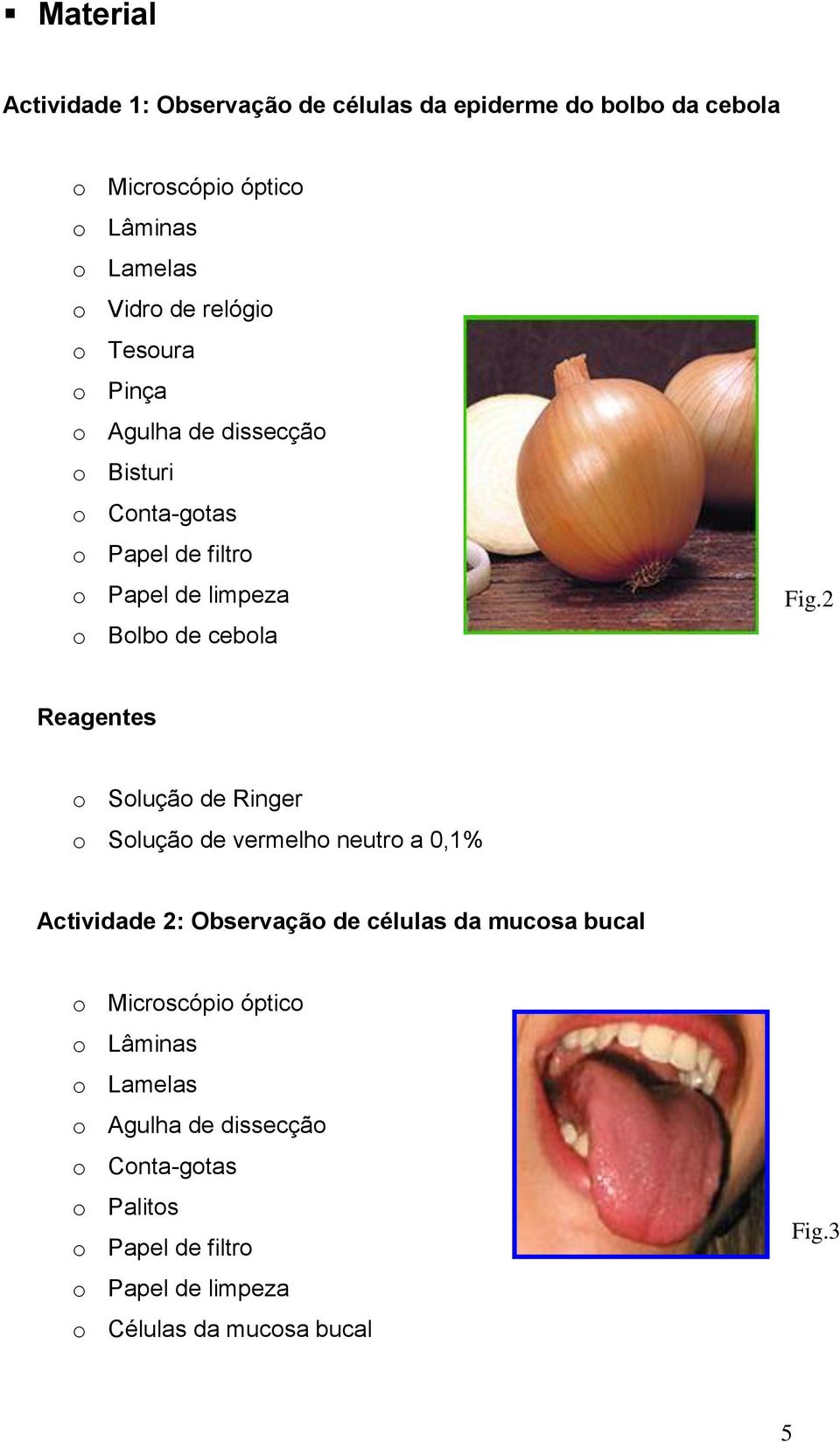 2 Reagentes o Solução de Ringer o Solução de vermelho neutro a 0,1% Actividade 2: Observação de células da mucosa bucal o Microscópio