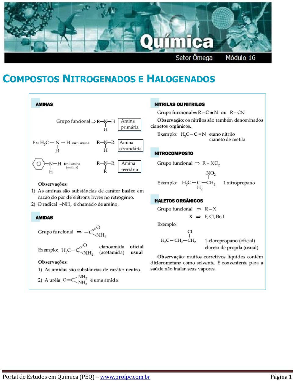 Estudos em Química (PEQ)