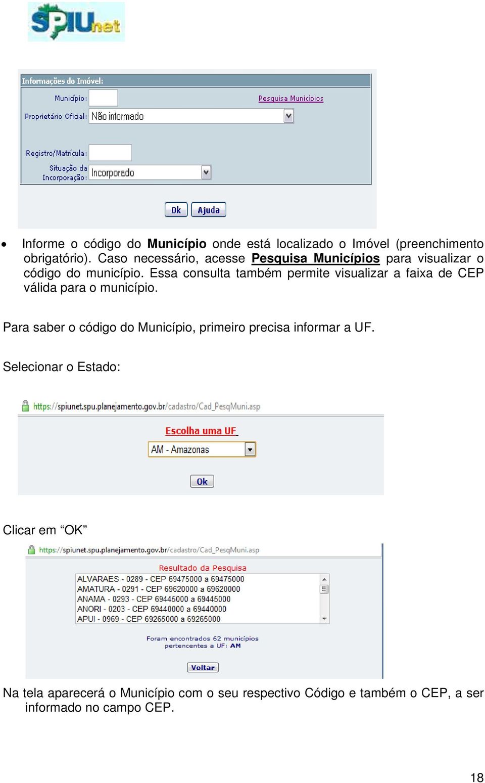 Essa consulta também permite visualizar a faixa de CEP válida para o município.