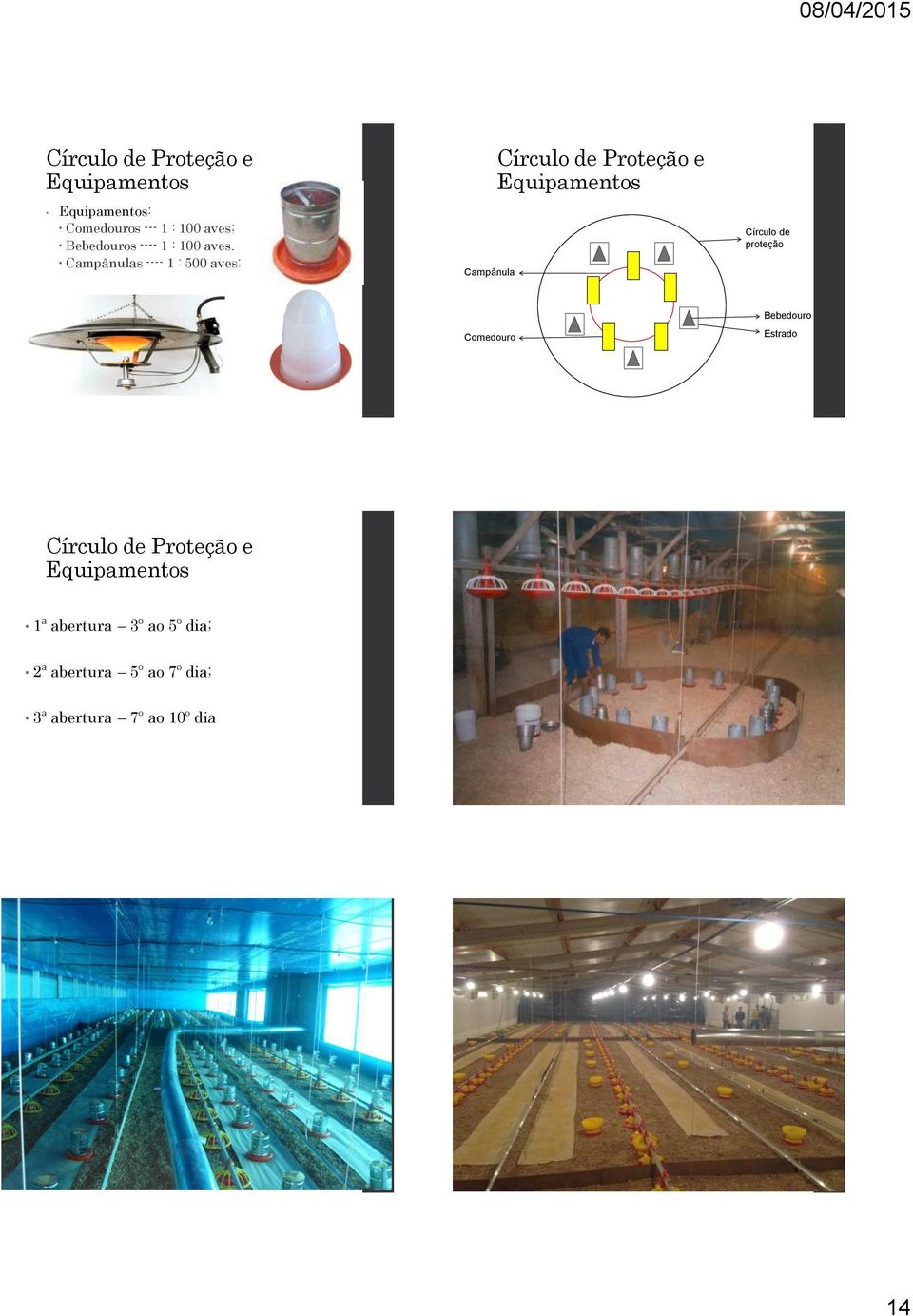 Campânulas ---- 1 : 500 aves; Campânula Círculo de Proteção e Equipamentos Círculo de