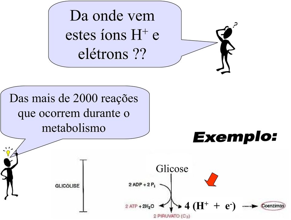 ? Das mais de 2000 reações que