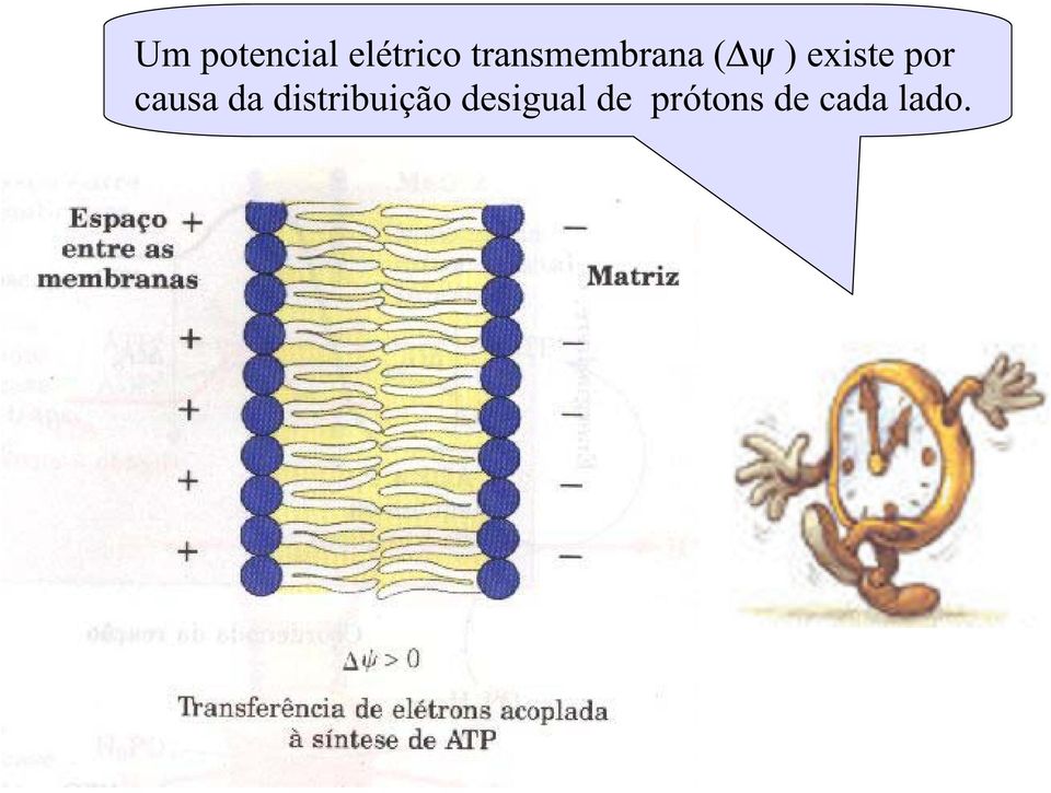 por causa da distribuição