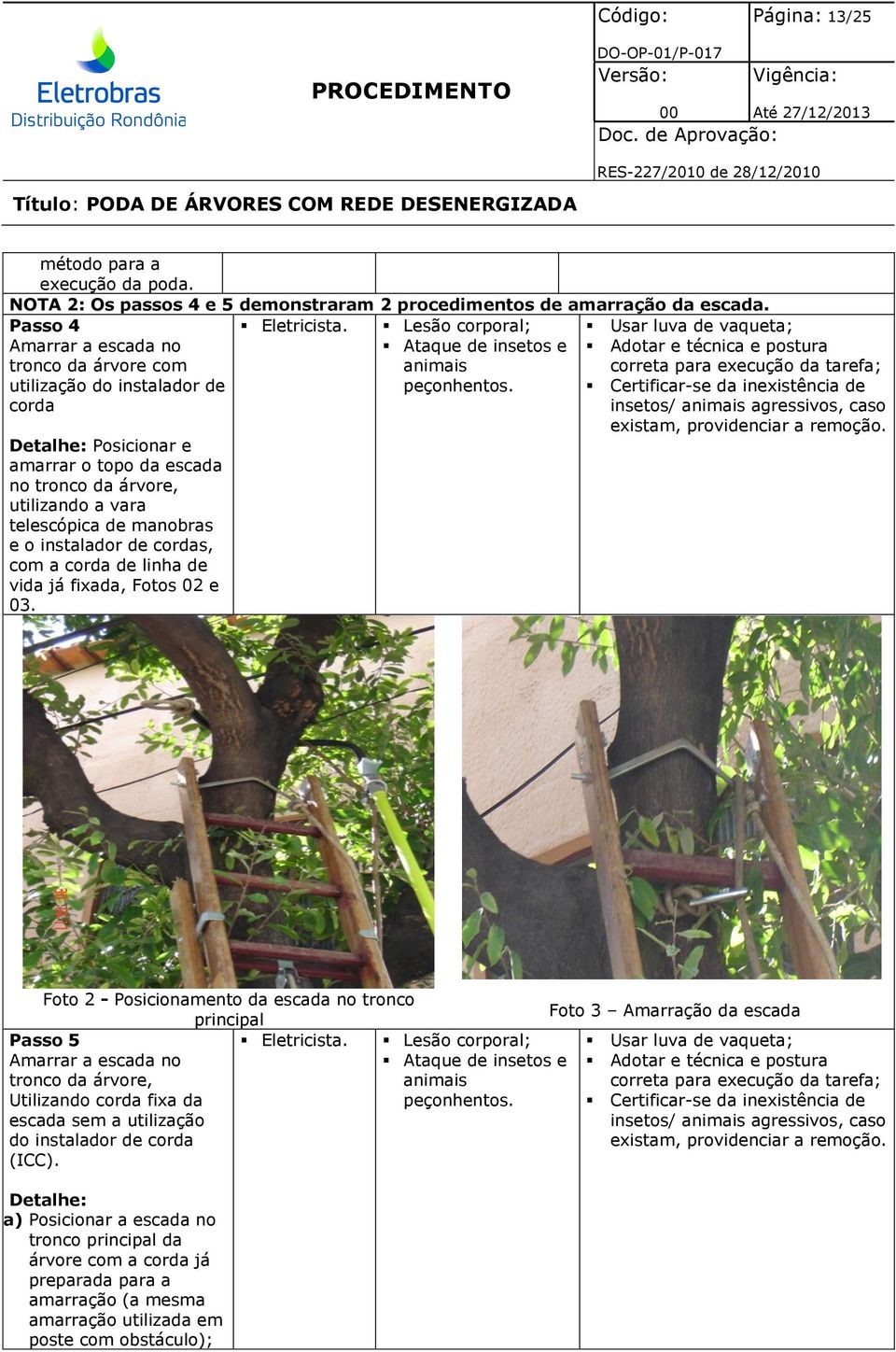 instalador de cordas, com a corda de linha de vida já fixada, Fotos 02 e 03. animais peçonhentos. Adotar e técnica e postura correta existam, providenciar a remoção.