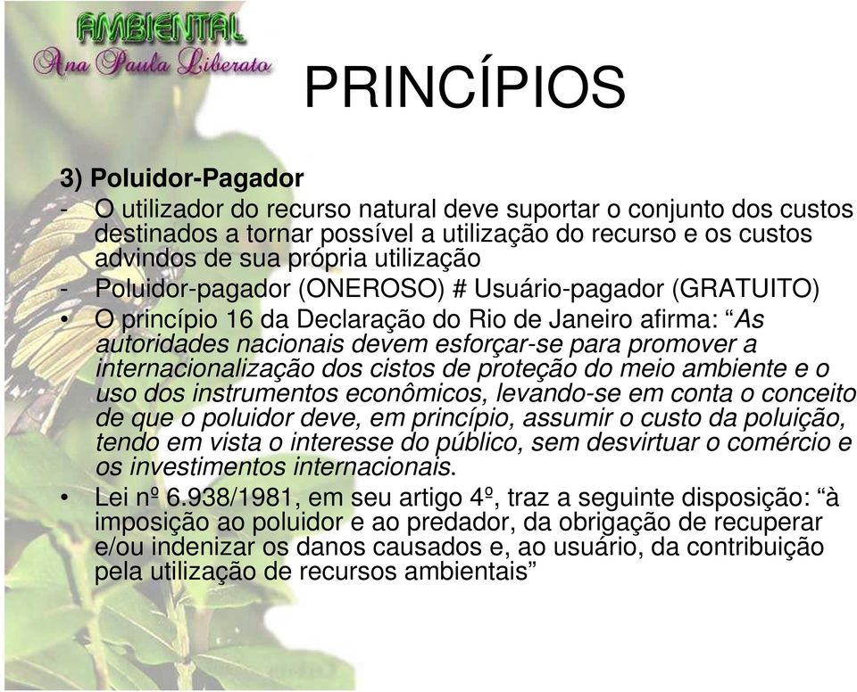 internacionalização dos cistos de proteção do meio ambiente e o uso dos instrumentos econômicos, levando-se em conta o conceito de que o poluidor deve, em princípio, assumir o custo da poluição,