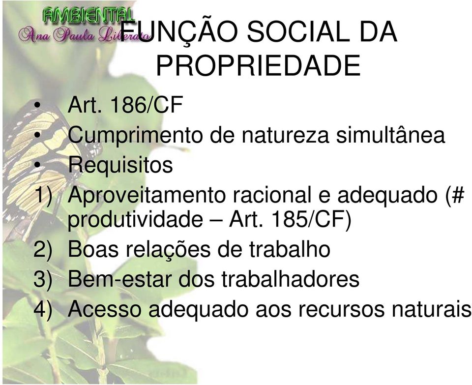 Aproveitamento racional e adequado (# produtividade Art.