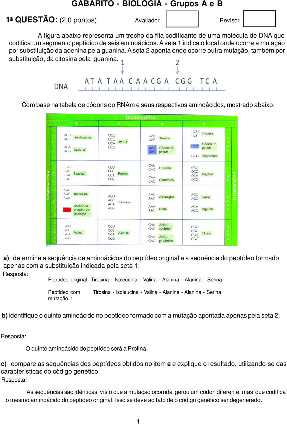 Com base na tabela de códons do RNAm e seus respectivos aminoácidos, mostrado abaixo: a) determine a sequência de aminoácidos do peptídeo original e a sequência do peptídeo formado apenas com a