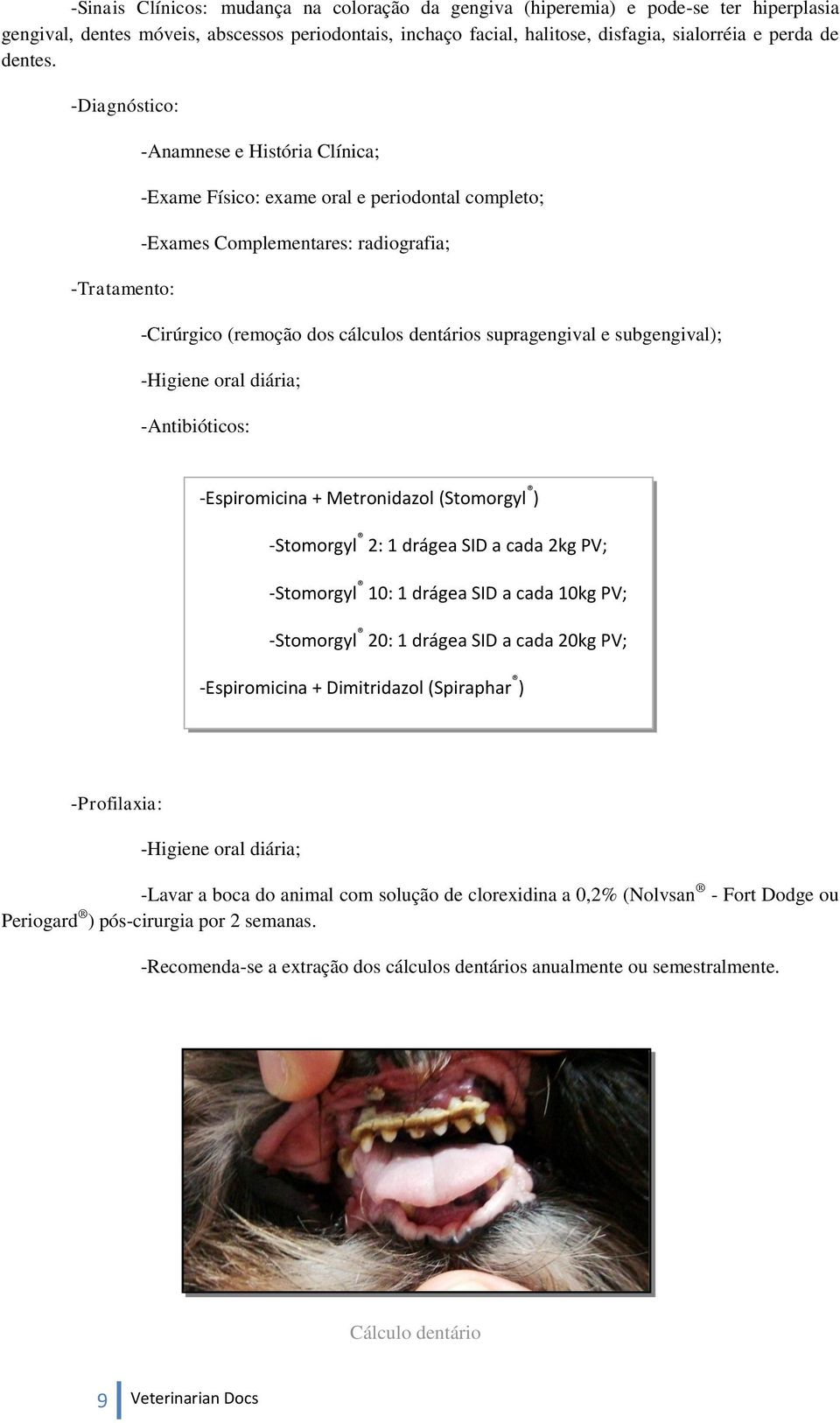 -Tratamento: -Exame Físico: exame oral e periodontal completo; radiografia; -Cirúrgico (remoção dos cálculos dentários supragengival e subgengival); -Higiene oral diária; -Antibióticos: -Espiromicina