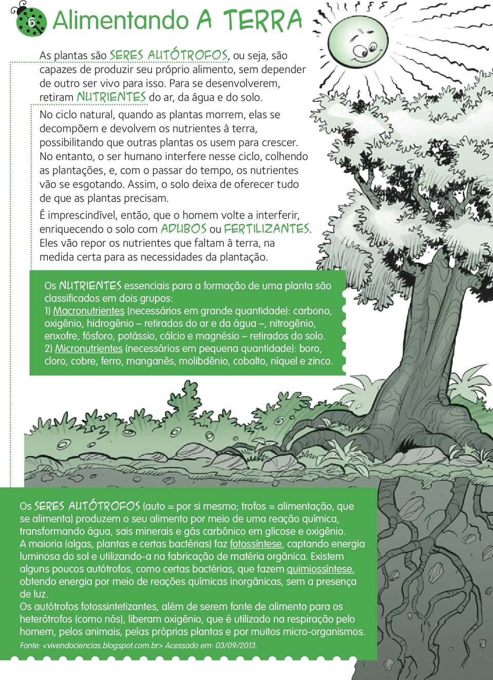 No ciclo natural, quando as plantas morrem, elas se decompõem e devolvem os nutrientes à terra, possibilitando que outras plantas os usem para crescer.