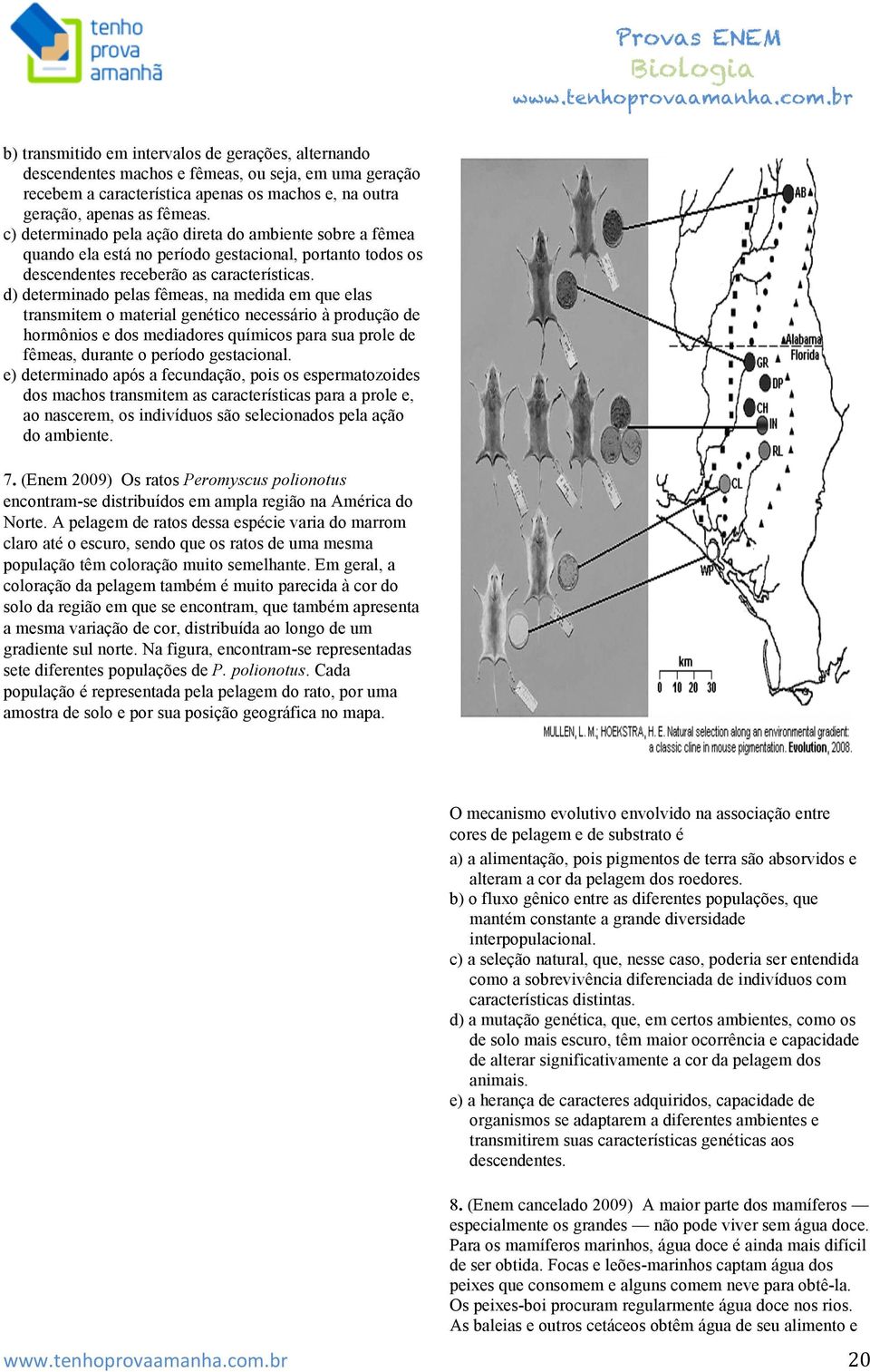 d) determinado pelas fêmeas, na medida em que elas transmitem o material genético necessário à produção de hormônios e dos mediadores químicos para sua prole de fêmeas, durante o período gestacional.