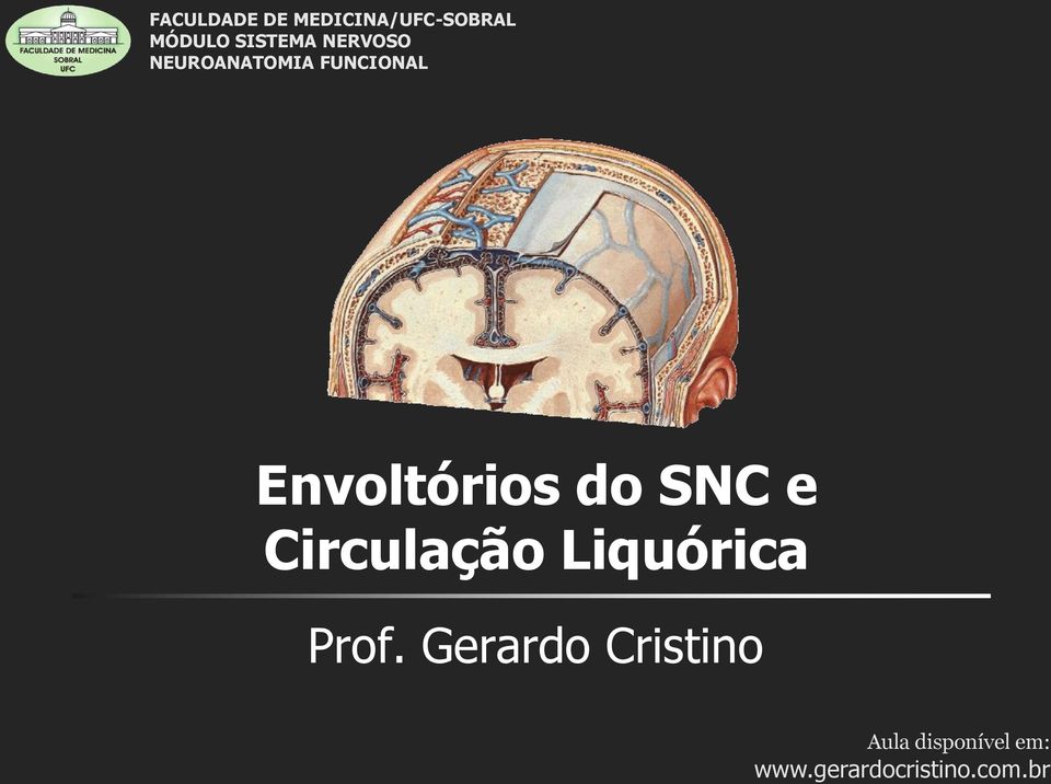 SNC e Circulação Liquórica Prof.