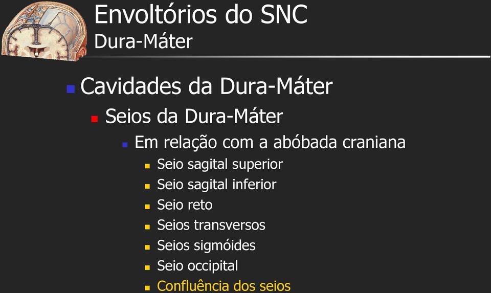 Seio sagital superior Seio sagital inferior Seio reto