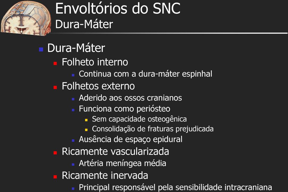 osteogênica Consolidação de fraturas prejudicada Ausência de espaço epidural Ricamente