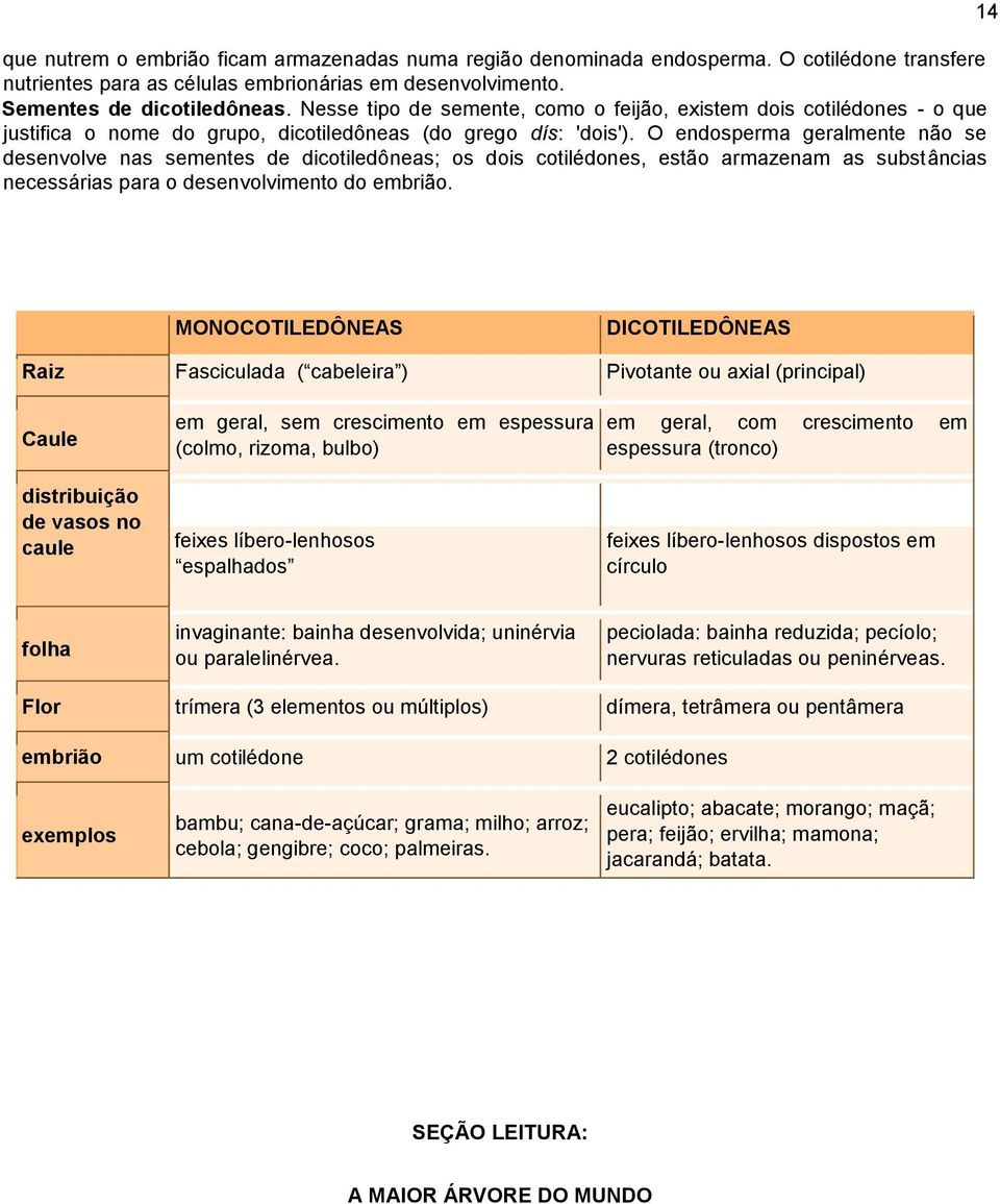 O endosperma geralmente não se desenvolve nas sementes de dicotiledôneas; os dois cotilédones, estão armazenam as substâncias necessárias para o desenvolvimento do embrião.