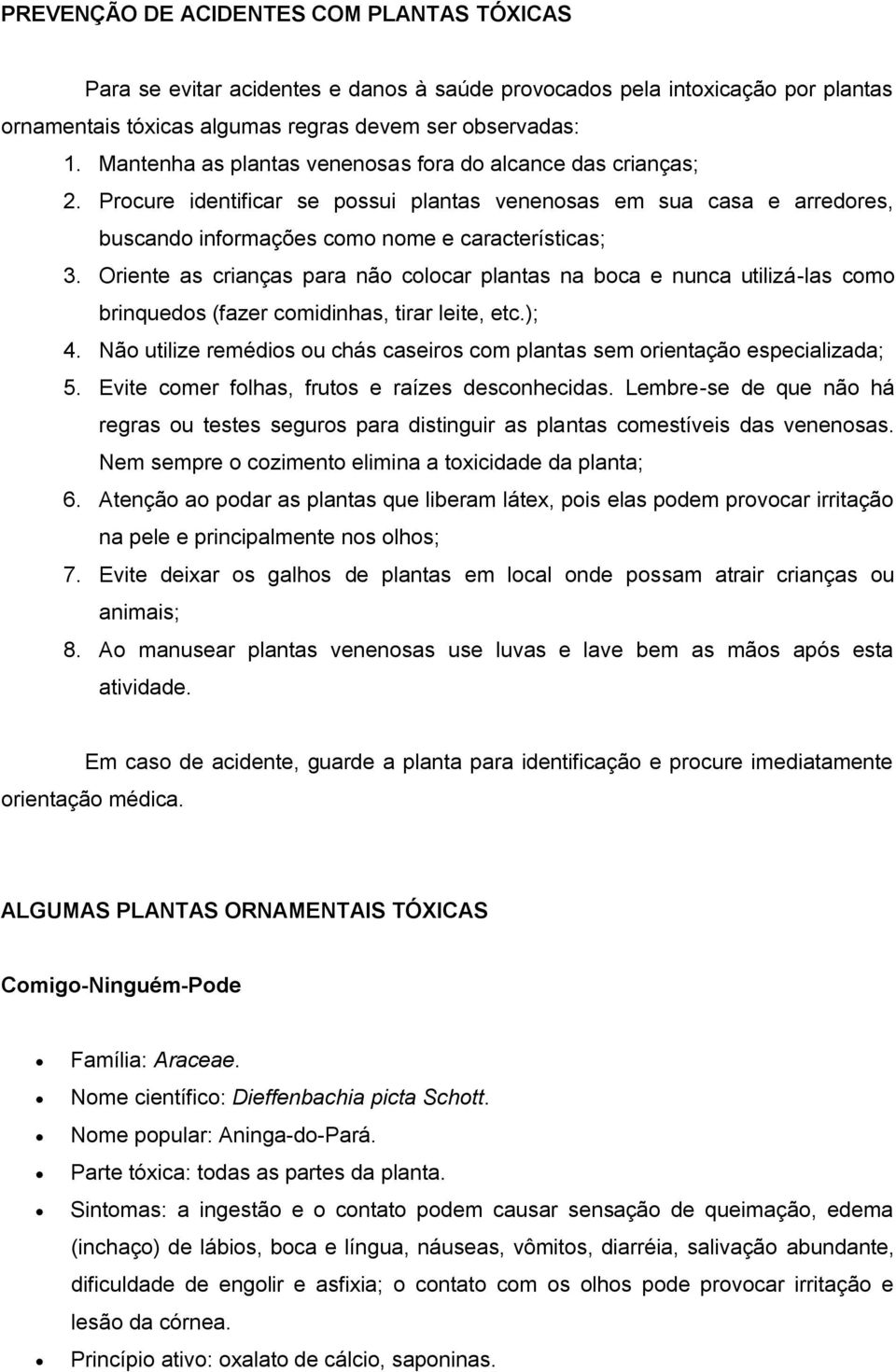 Oriente as crianças para não colocar plantas na boca e nunca utilizá-las como brinquedos (fazer comidinhas, tirar leite, etc.); 4.