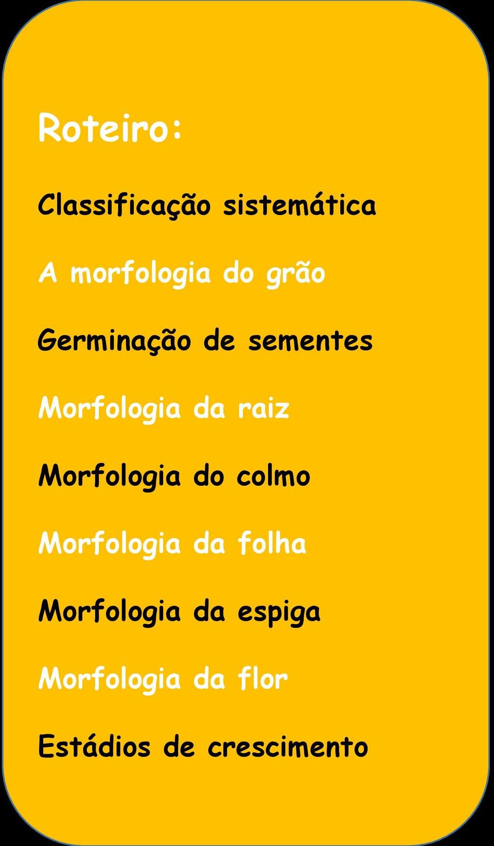 Morfologia do colmo Morfologia da folha Morfologia