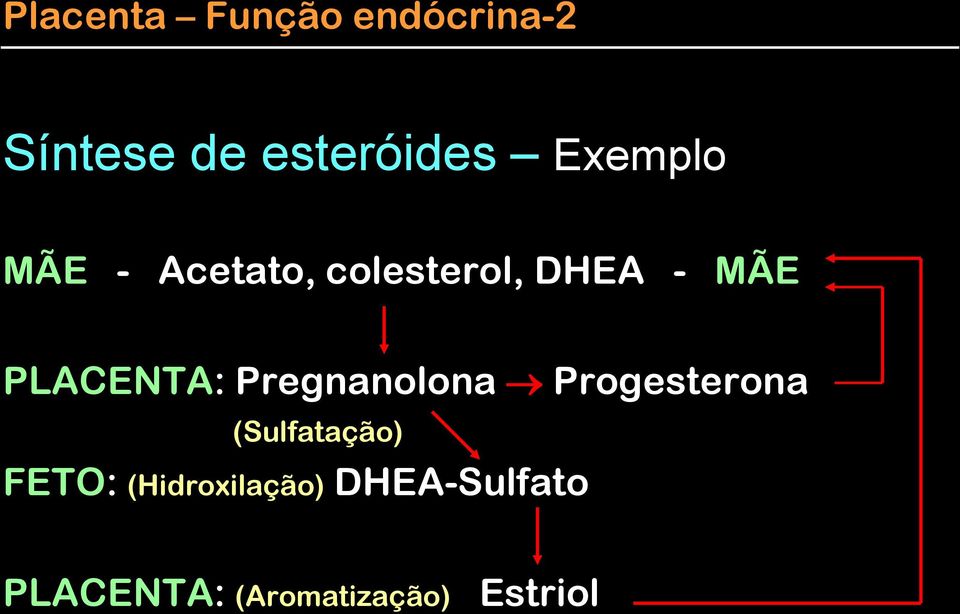 PLACENTA: Pregnanolona Progesterona (Sulfatação)