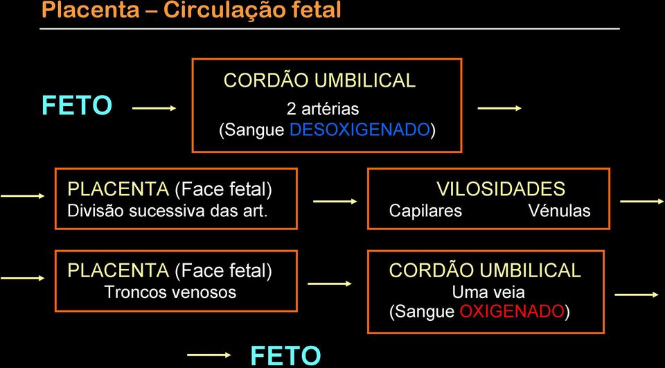 Divisão sucessiva das art.