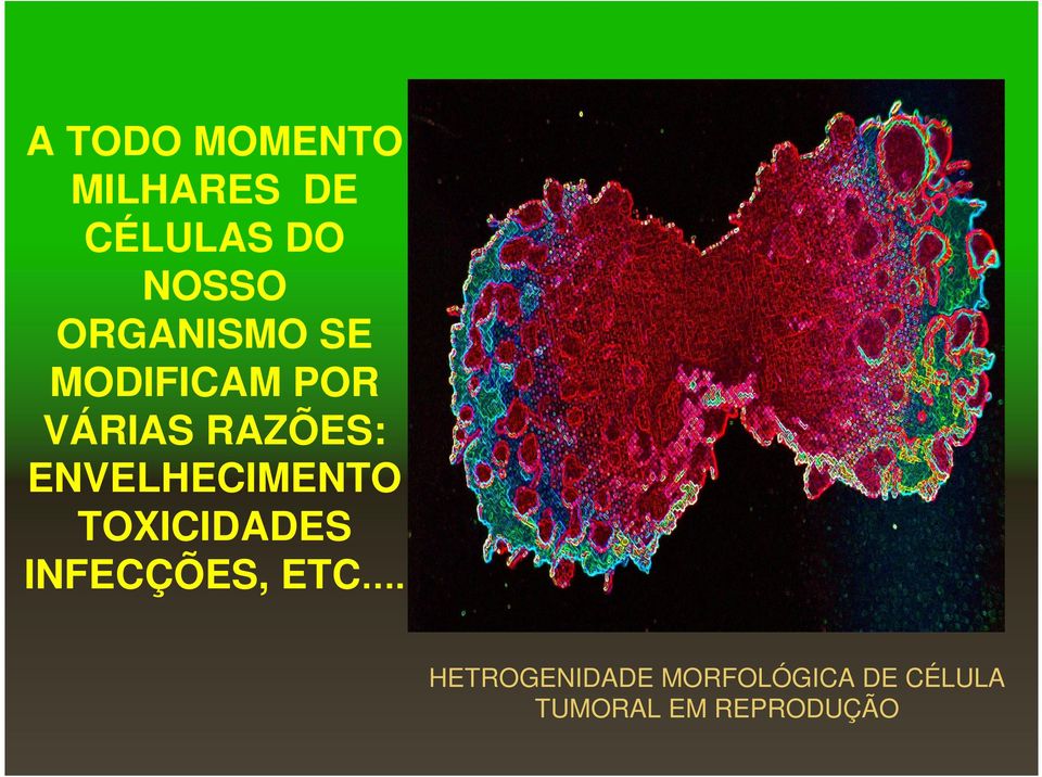 ENVELHECIMENTO TOXICIDADES INFECÇÕES, ETC.