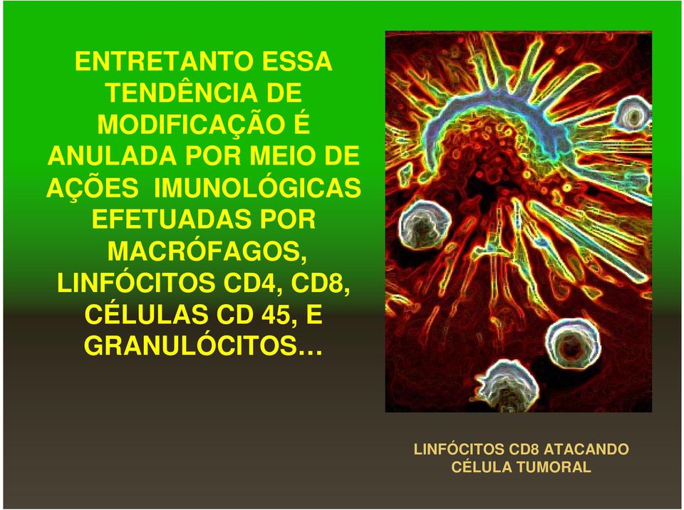 POR MACRÓFAGOS, LINFÓCITOS CD4, CD8, CÉLULAS CD