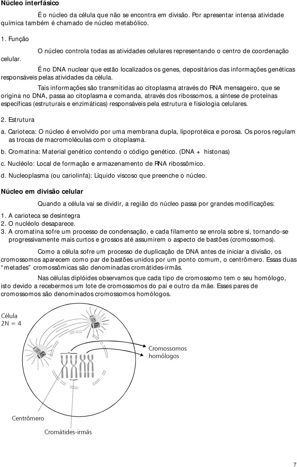 atividades da célula.