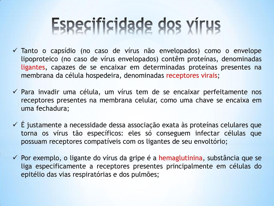 como uma chave se encaixa em uma fechadura; É justamente a necessidade dessa associação exata às proteínas celulares que torna os vírus tão específicos: eles só conseguem infectar células que possuam