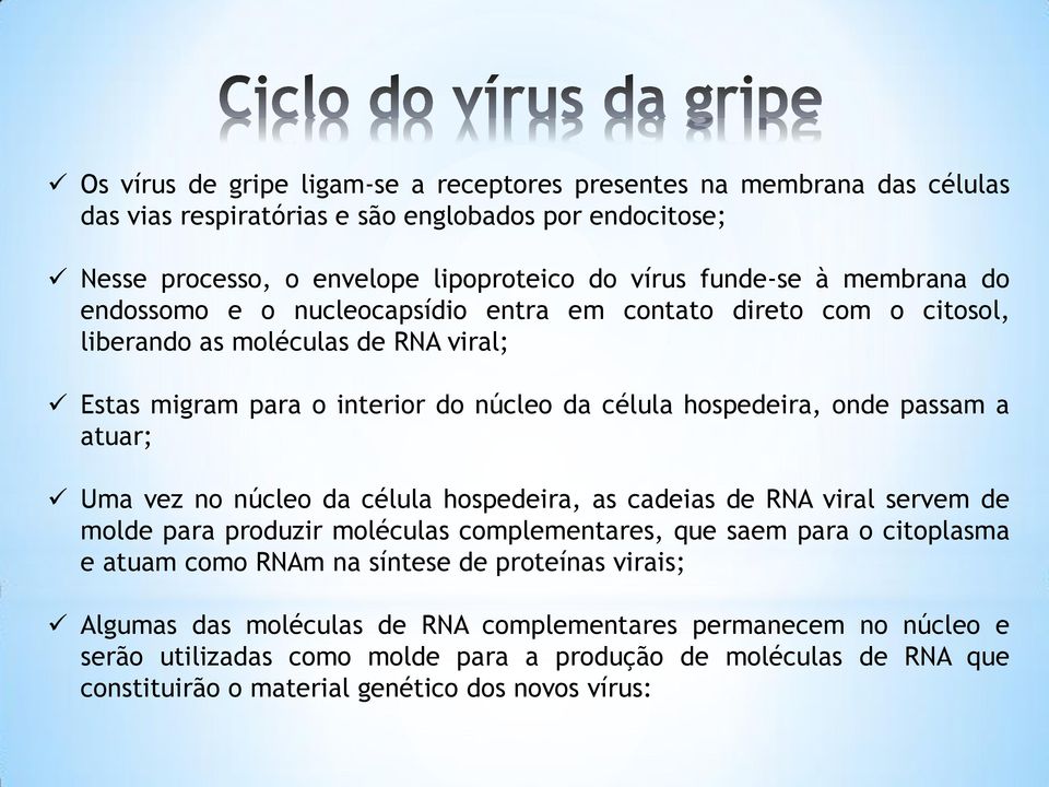 atuar; Uma vez no núcleo da célula hospedeira, as cadeias de RNA viral servem de molde para produzir moléculas complementares, que saem para o citoplasma e atuam como RNAm na síntese de