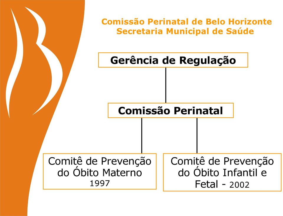 Perinatal Comitê de Prevenção do Óbito Materno