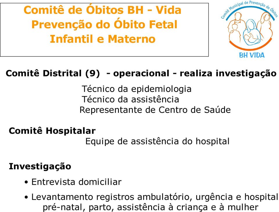 Centro de Saúde Comitê Hospitalar Equipe de assistência do hospital Investigação Entrevista