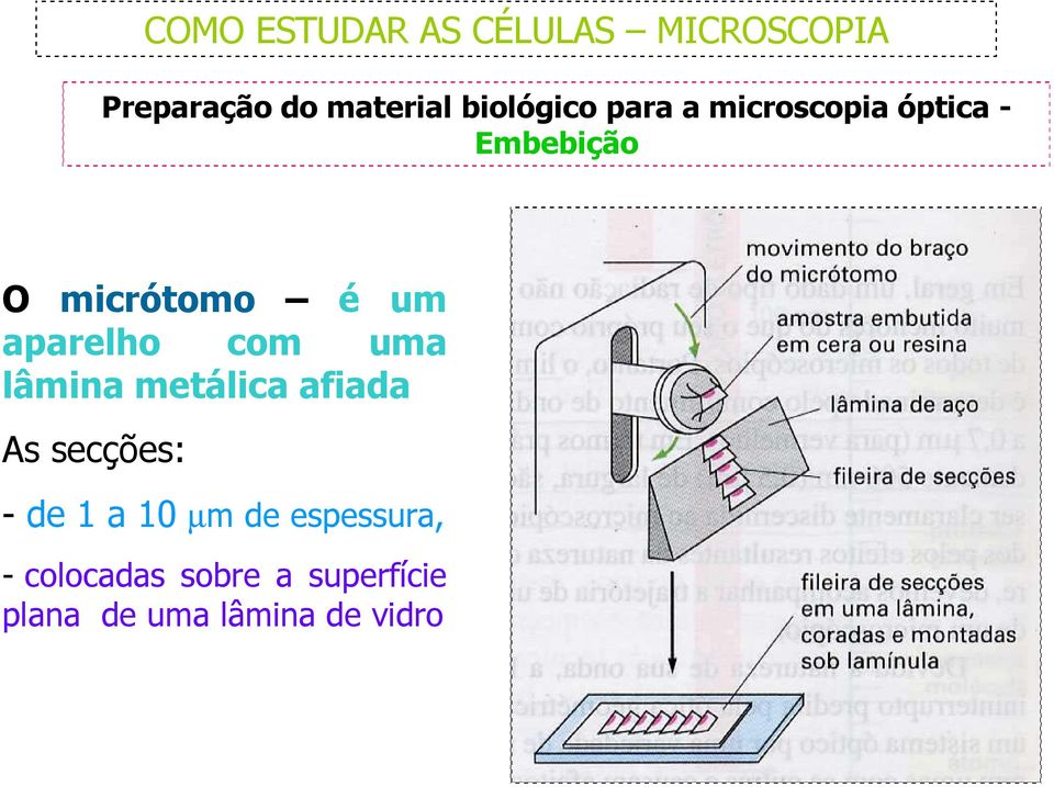 lâmina metálica afiada As secções: - de 1 a 10 µm de