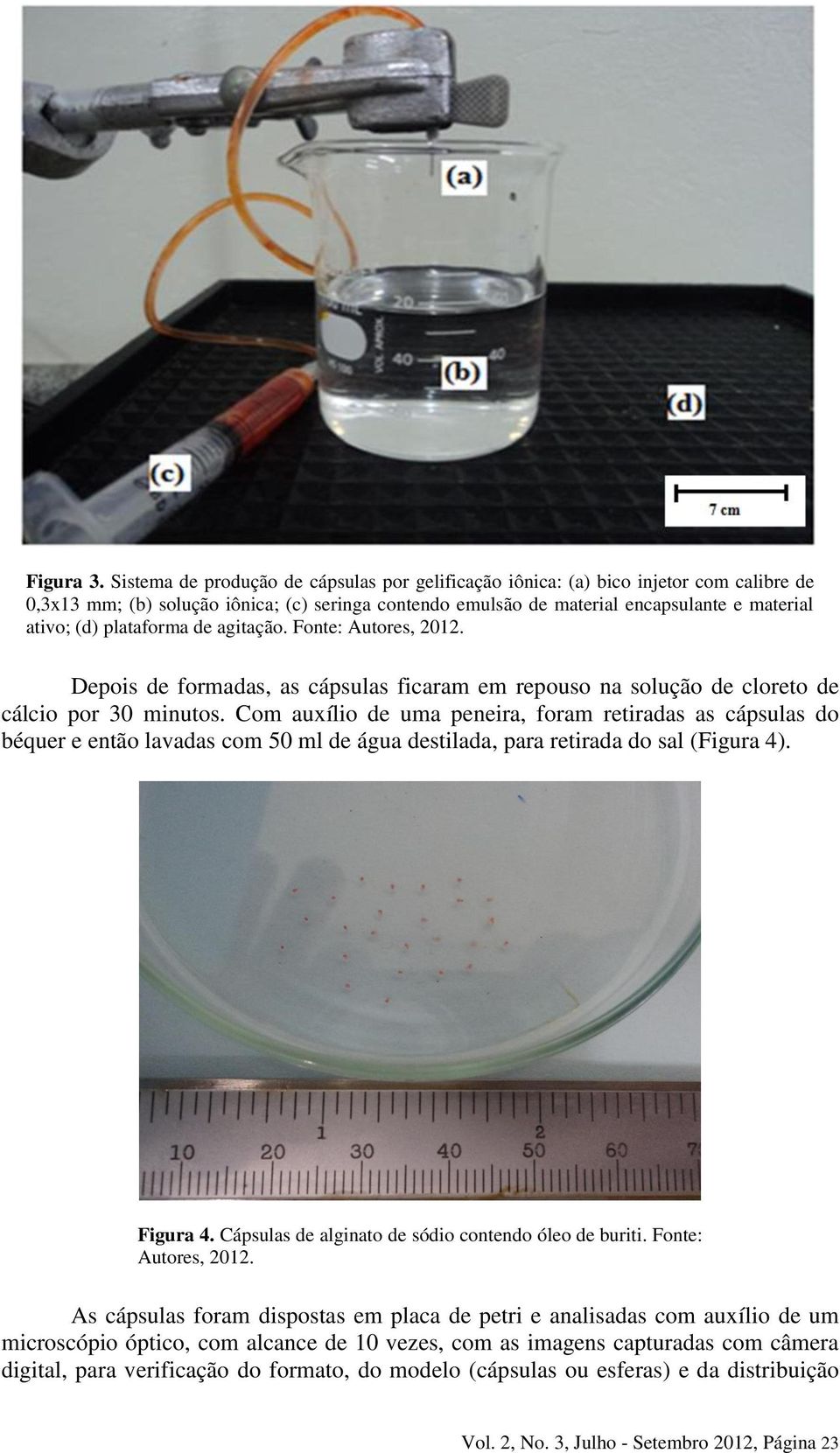 plataforma de agitação. Fonte: Autores, 2012. Depois de formadas, as cápsulas ficaram em repouso na solução de cloreto de cálcio por 30 minutos.