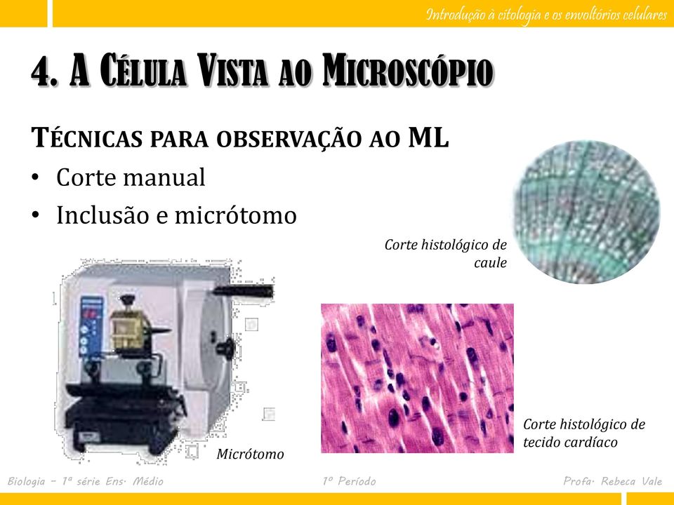 Inclusão e micrótomo Corte histológico de