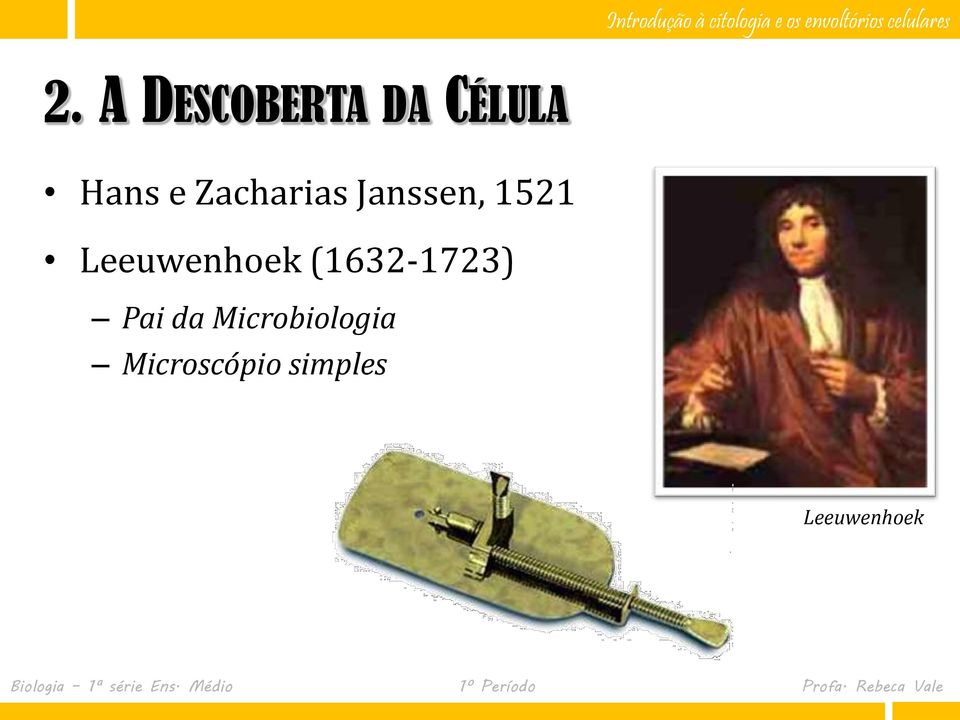 Leeuwenhoek (1632-1723) Pai da