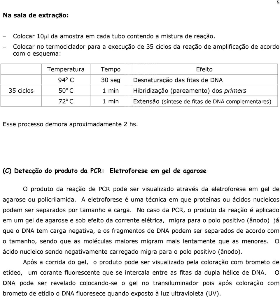 Hibridização (pareamento) dos primers 72 o C 1 min Extensão (síntese de fitas de DNA complementares) Esse processo demora aproximadamente 2 hs.