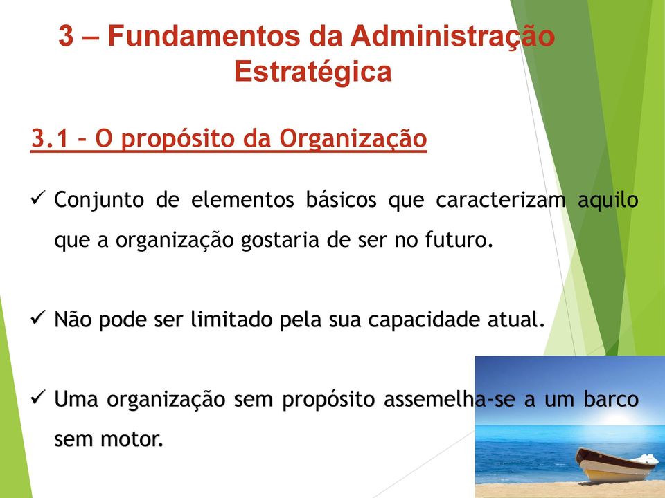 caracterizam aquilo que a organização gostaria de ser no futuro.