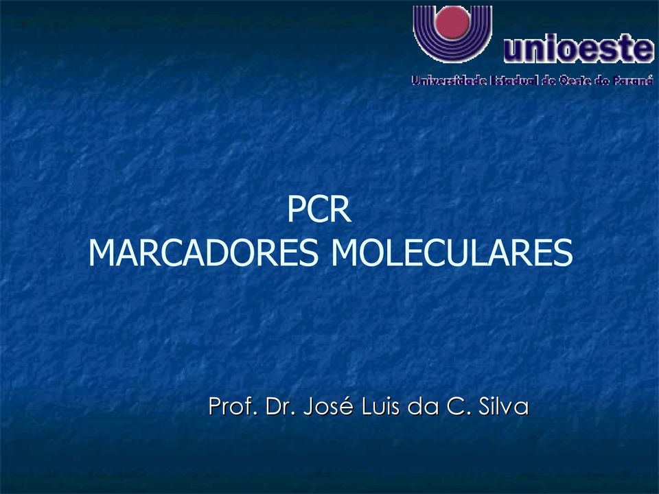 Prof. Dr.