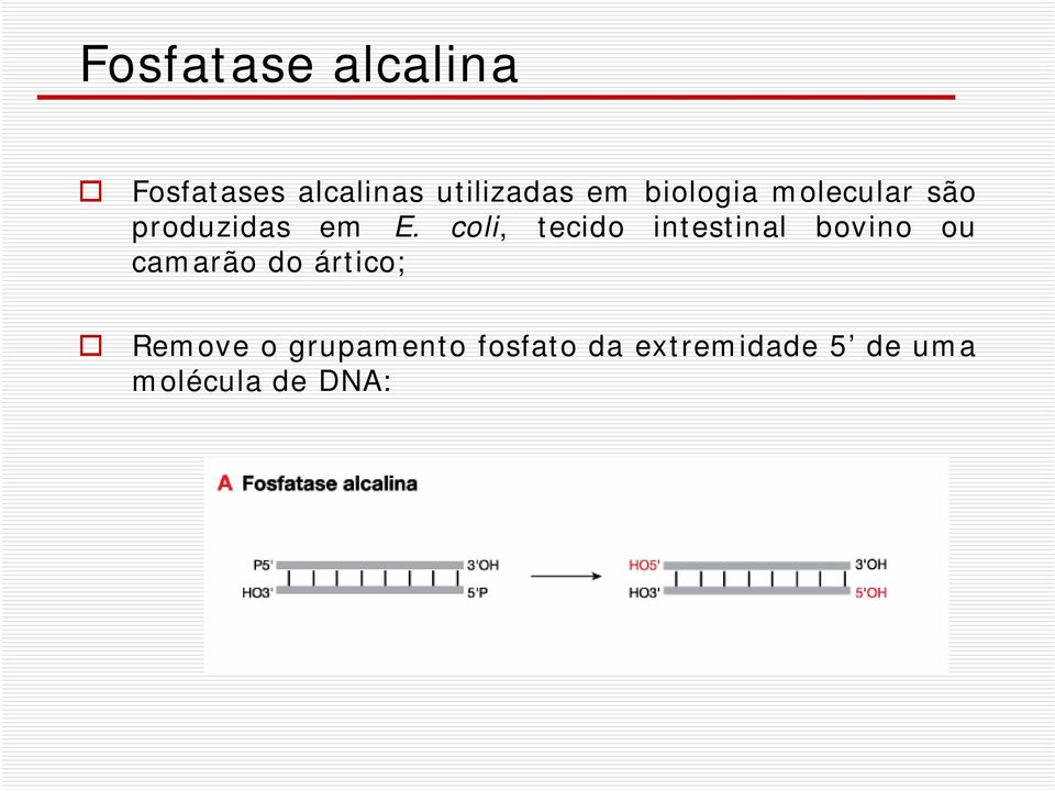 coli, tecido intestinal bovino ou camarão do ártico;