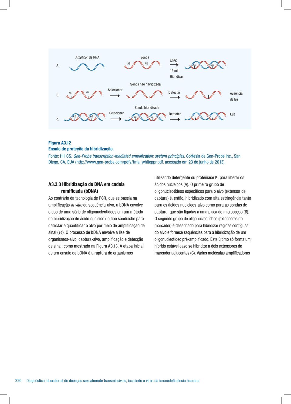 com/pdfs/tma_whiteppr.pdf, acessado em 23 