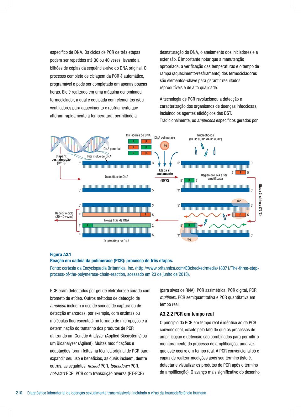 Ele é realizado em uma máquina denominada termociclador, a qual é equipada com elementos e/ou ventiladores para aquecimento e resfriamento que alteram rapidamente a temperatura, permitindo a