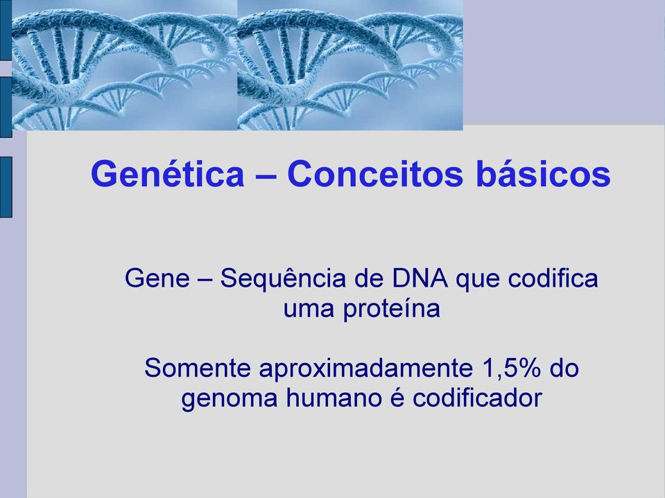 proteína Somente aproximadamente