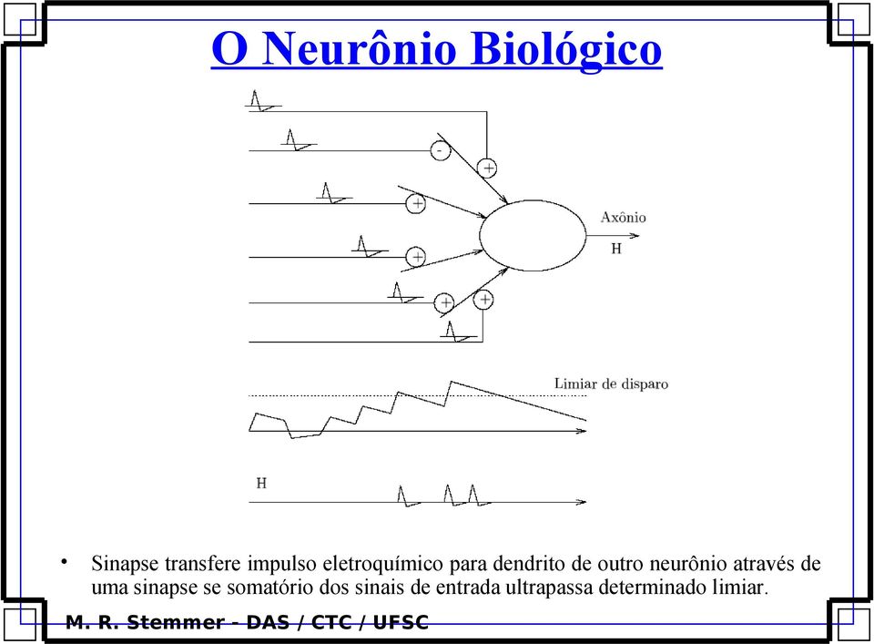 neurônio através de uma sinapse se somatório