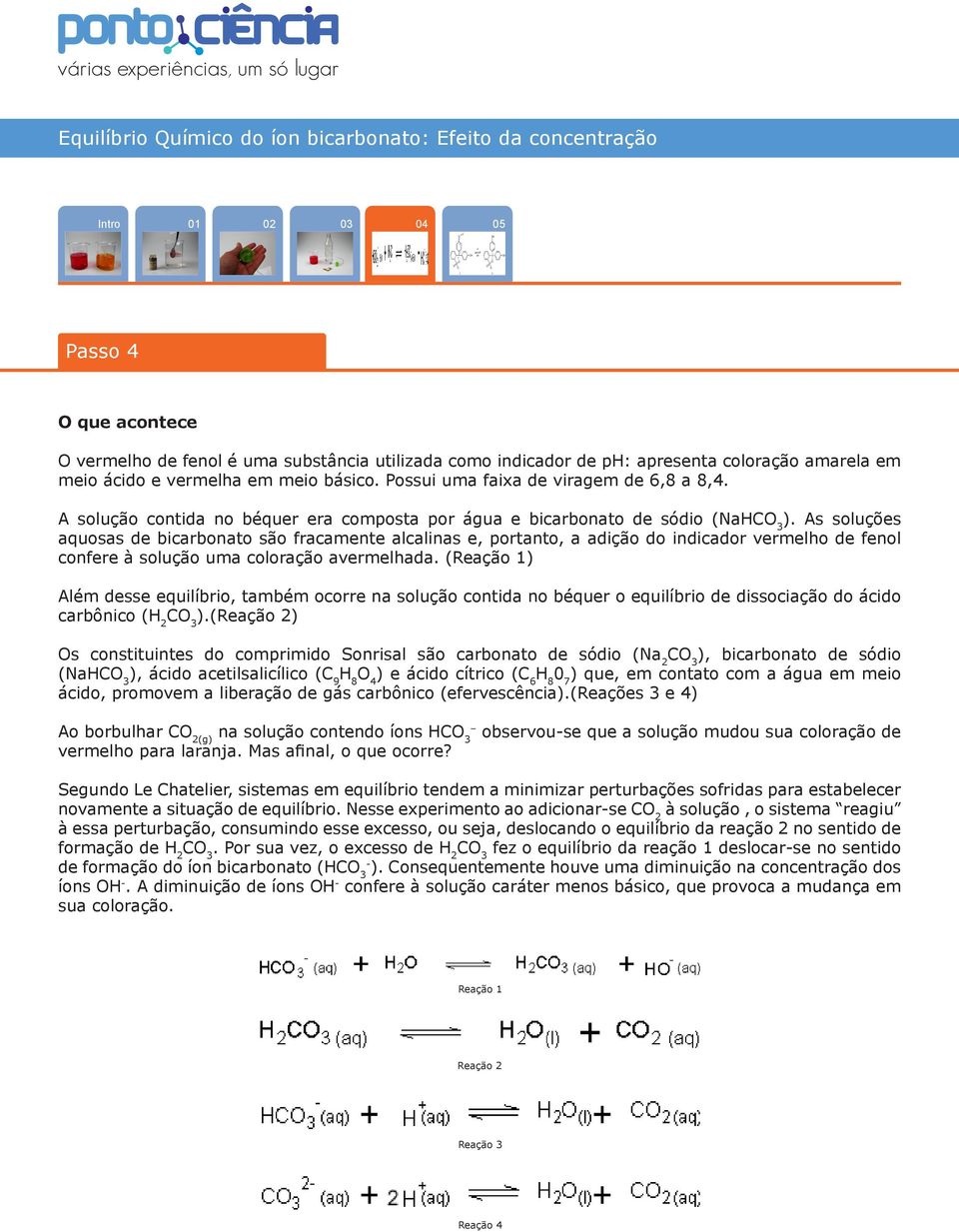 As soluções aquosas de bicarbonato são fracamente alcalinas e, portanto, a adição do indicador vermelho de fenol confere à solução uma coloração avermelhada.