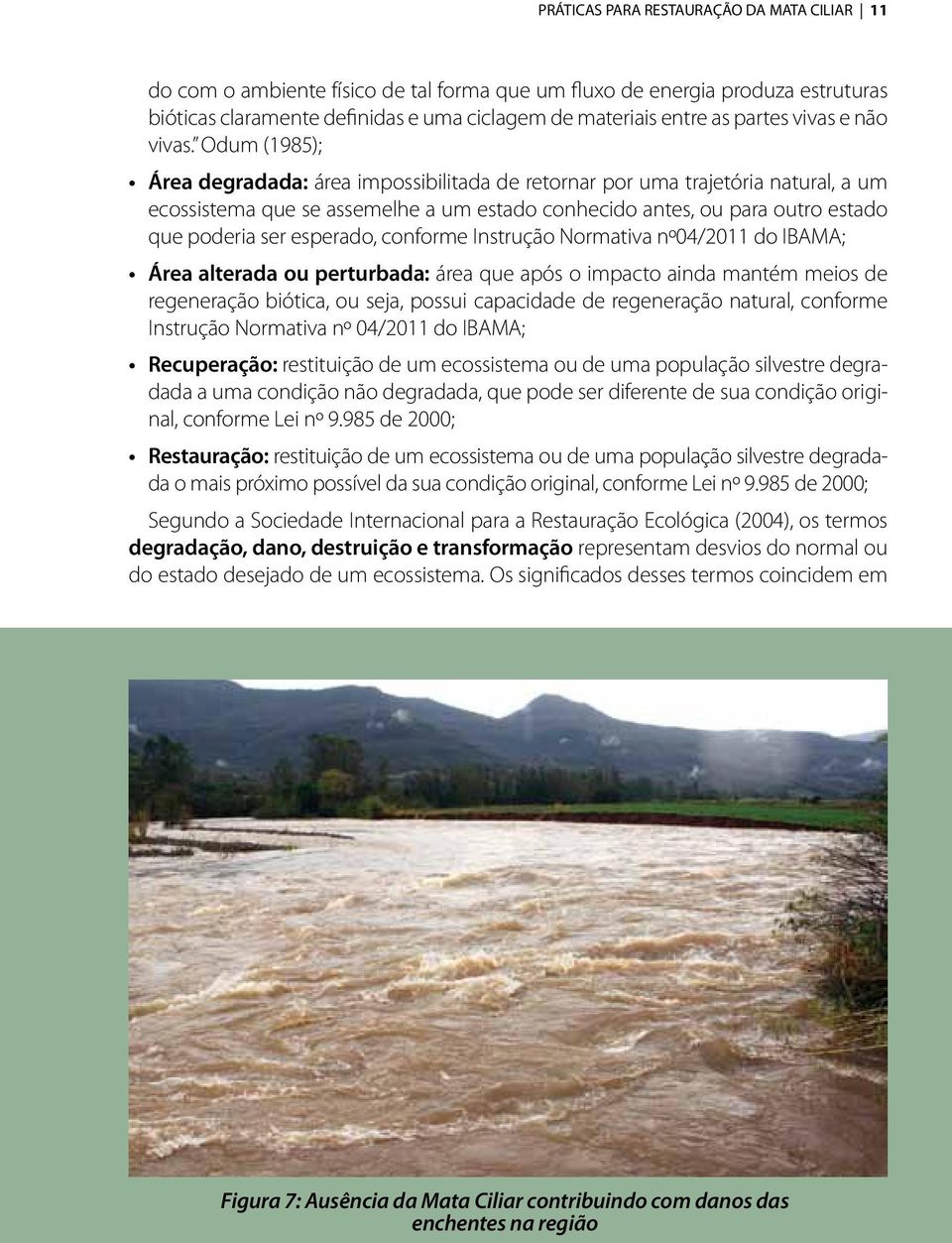 Odum (1985); Área degradada: área impossibilitada de retornar por uma trajetória natural, a um ecossistema que se assemelhe a um estado conhecido antes, ou para outro estado que poderia ser esperado,